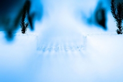 Skispringen am Inseberg Bild 60 | Foto: Robert Engel